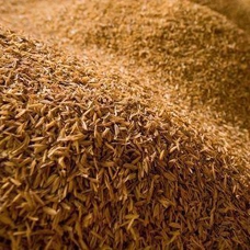 MUSTARD HUSK FUEL ESBEE